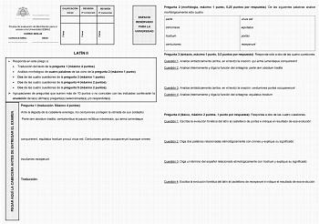 Examen de Latín II (EBAU de 2024)