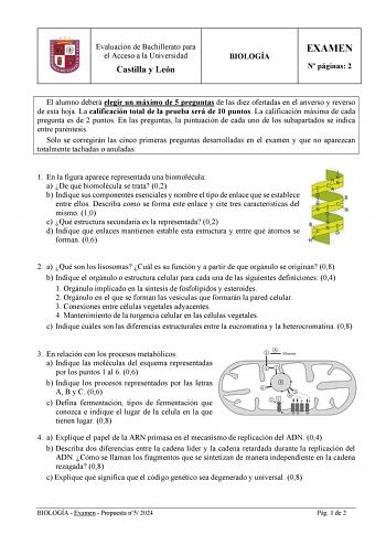 Examen de Biología (EBAU de 2024)