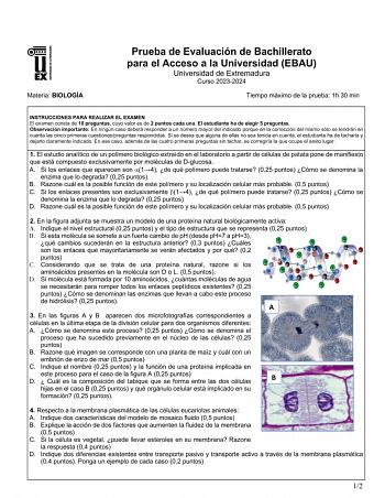 Materia BIOLOGÍA Prueba de Evaluación de Bachillerato para el Acceso a la Universidad EBAU Universidad de Extremadura Curso 20232024 Tiempo máximo de la prueba 1h 30 min INSTRUCCIONES PARA REALIZAR EL EXAMEN El examen consta de 10 preguntas cuyo valor es de 2 puntos cada una El estudiante ha de elegir 5 preguntas Observación importante En ningún caso deberá responder a un número mayor del indicado porque en la corrección del mismo sólo se tendrán en cuenta las cinco primeras cuestionespreguntas…