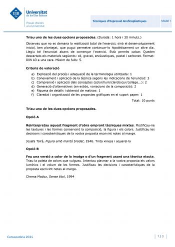 Examen de Técnicas de Expresión Gráfico Plástica (PBAU de 2024)