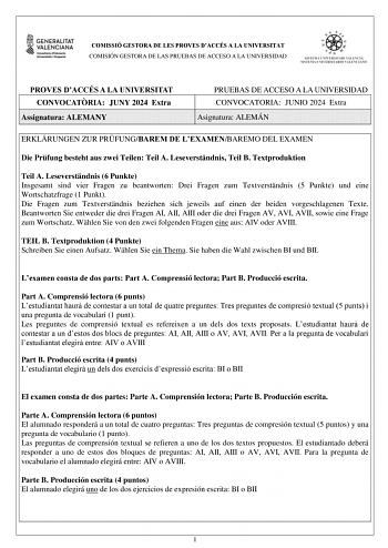 Examen de Alemán (PAU de 2024)