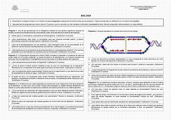 Examen de Biología (EBAU de 2024)