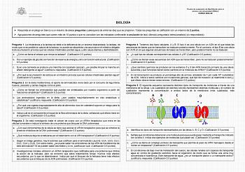 Examen de Biología (EBAU de 2024)