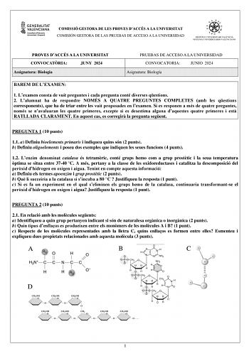 Examen de Biología (PAU de 2024)